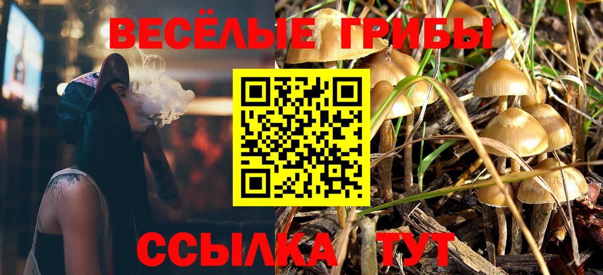 Карпинск  Псилоцибиновые грибы GOLDEN TEACHER  Вход с VPN 
