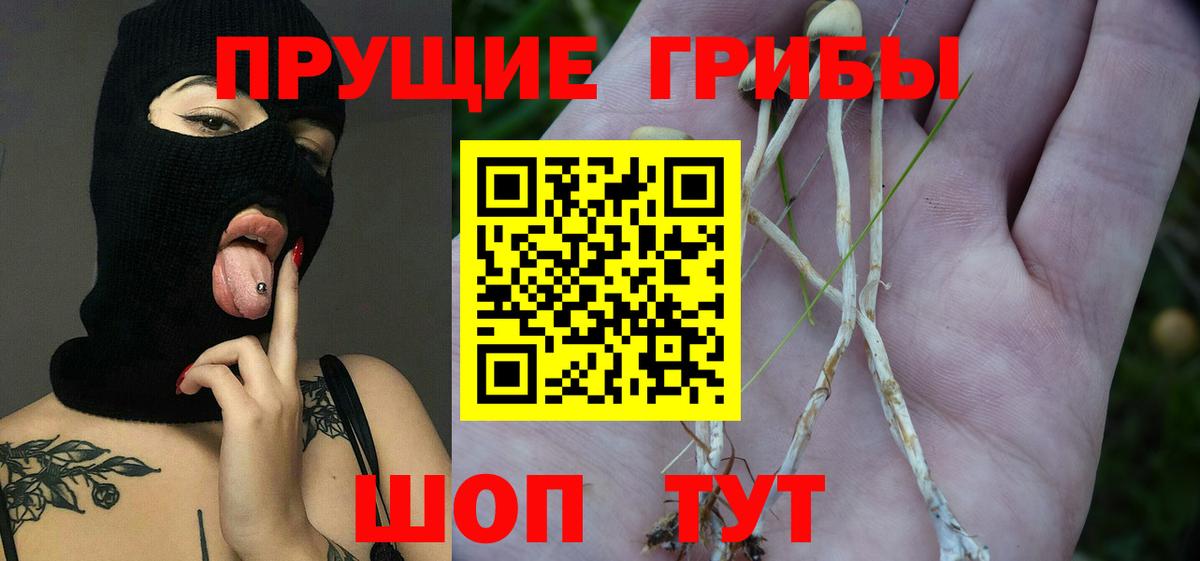 Псилоцибиновые грибы ЛСД Карпинск